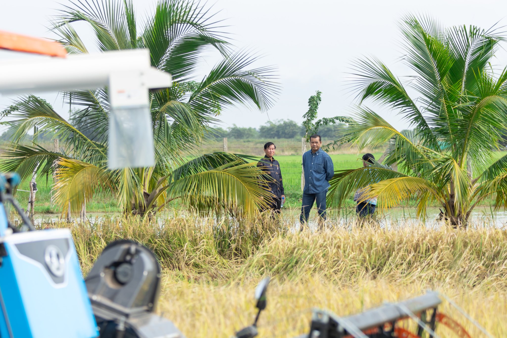 558084765_1256139043223048_5760603749171554064_n