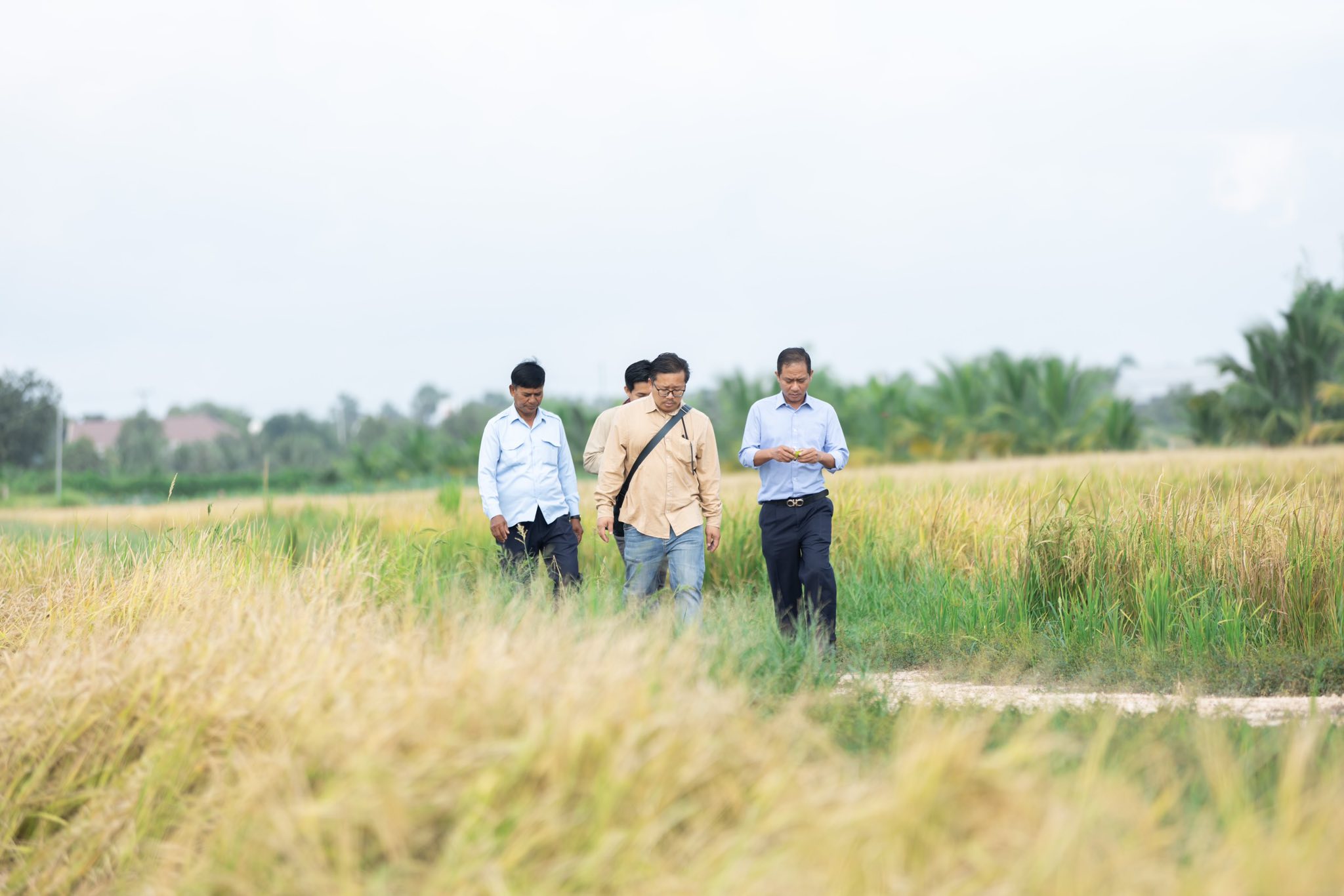 558943868_1256138616556424_8970174168351341351_n