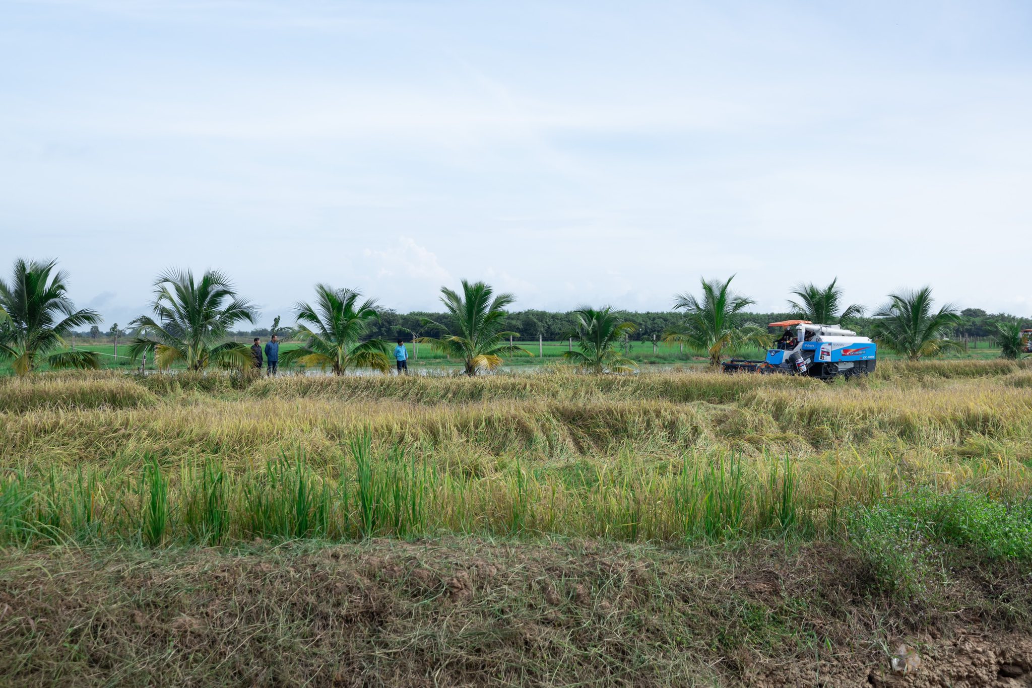 558982752_1256139163223036_4131593507060296653_n