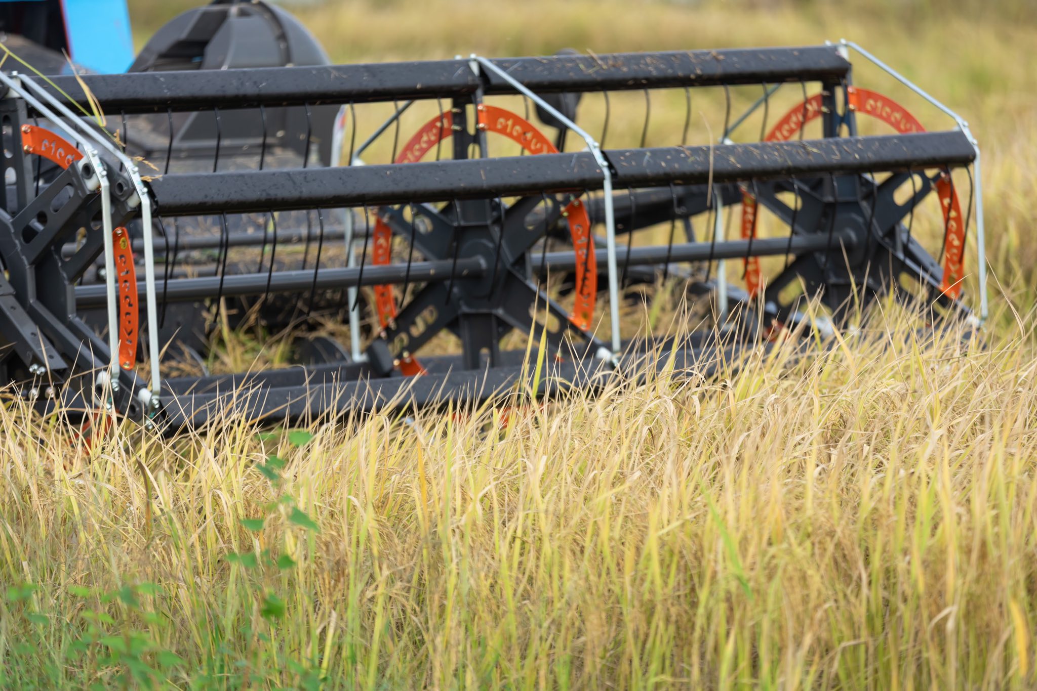 559463161_1256138853223067_5391579659122254460_n