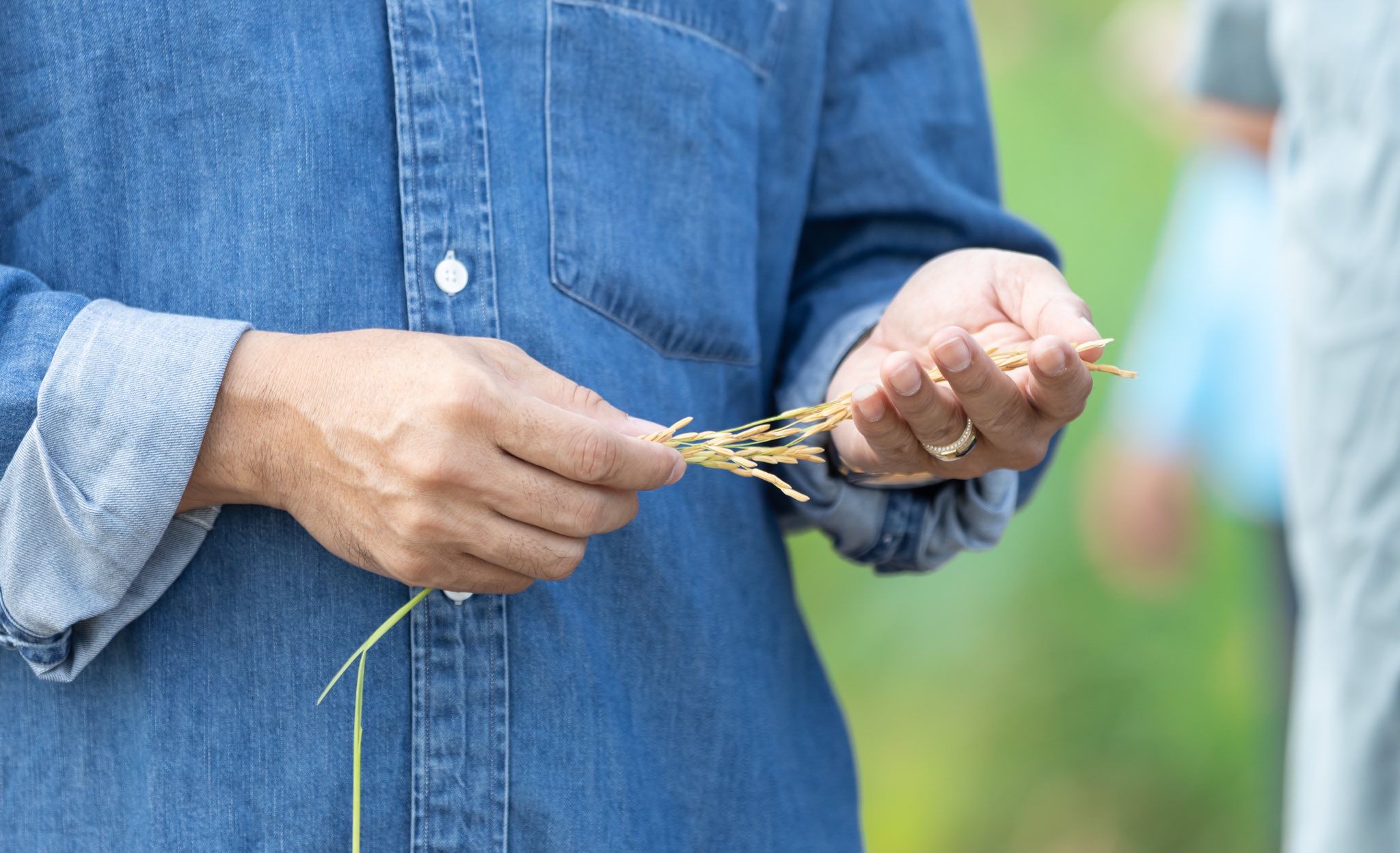 560272455_1256138386556447_3245503177072964520_n