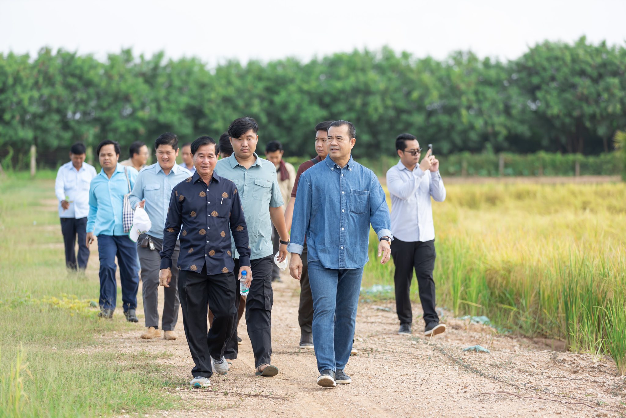 561160159_1256138873223065_4472109262493947799_n