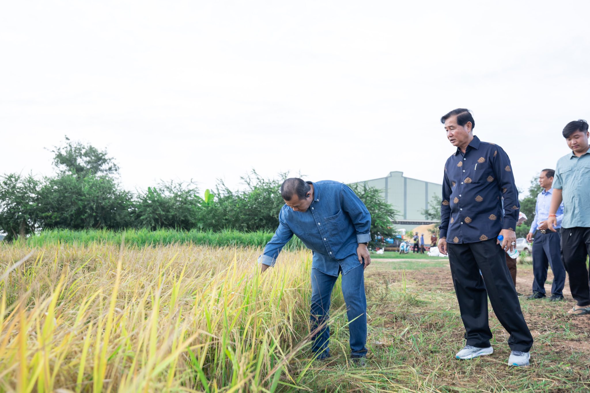 561434205_1256138719889747_5579537148146192119_n