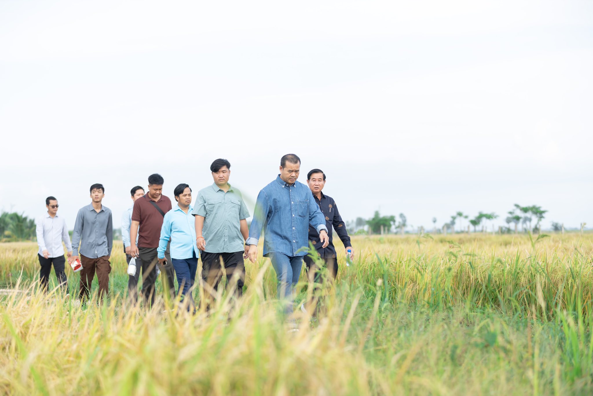 ឯកឧត្តមបណ្ឌិត កៅ ថាច និងសហការី អញ្ជើញចូលរួមច្រូតស្រូវ ស្រែគំរូ ស្ថិតនៅស្រុកស្វាយអន្ទរ ខេត្តព្រៃវែង