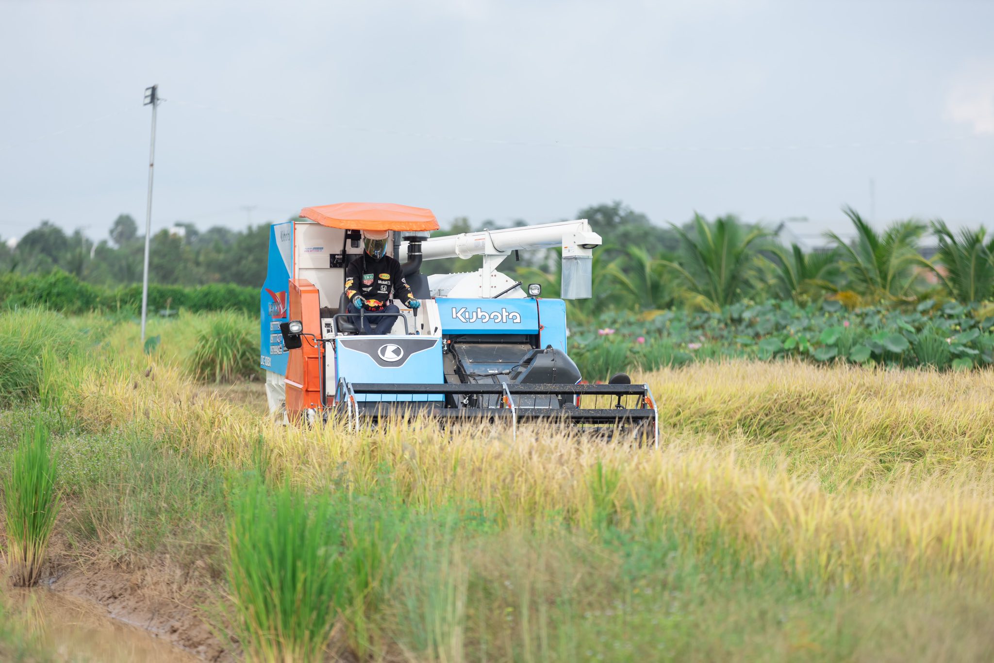 562331736_1256138909889728_3825315305112376289_n