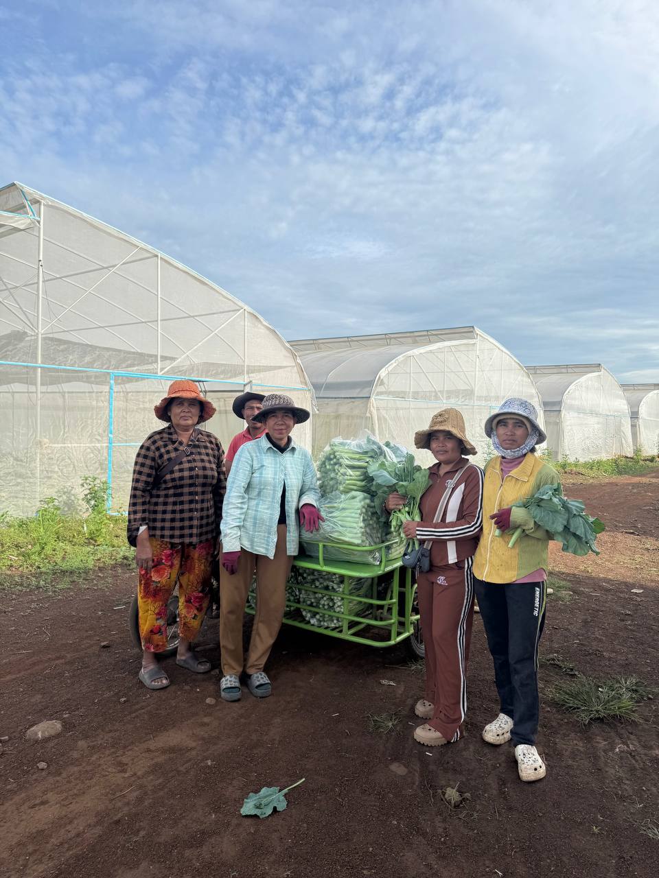 គម្រោងកាត់បន្ថយភាពក្រីក្រ ដែលមានទីតាំងស្ថិតនៅភូមិភ្នំតូច ឃុំពេជ្រចិន្តា ស្រុកភ្នំព្រឹក ខេត្តបាត់ដំបង