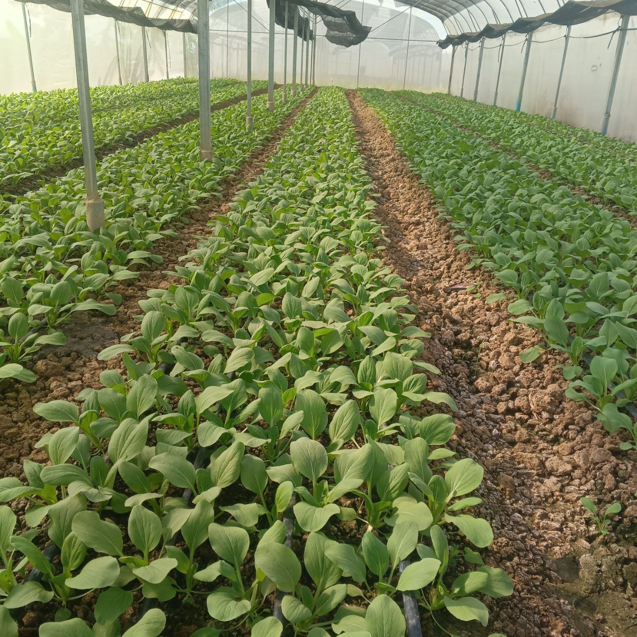 photo_2025-11-19_16-24-11