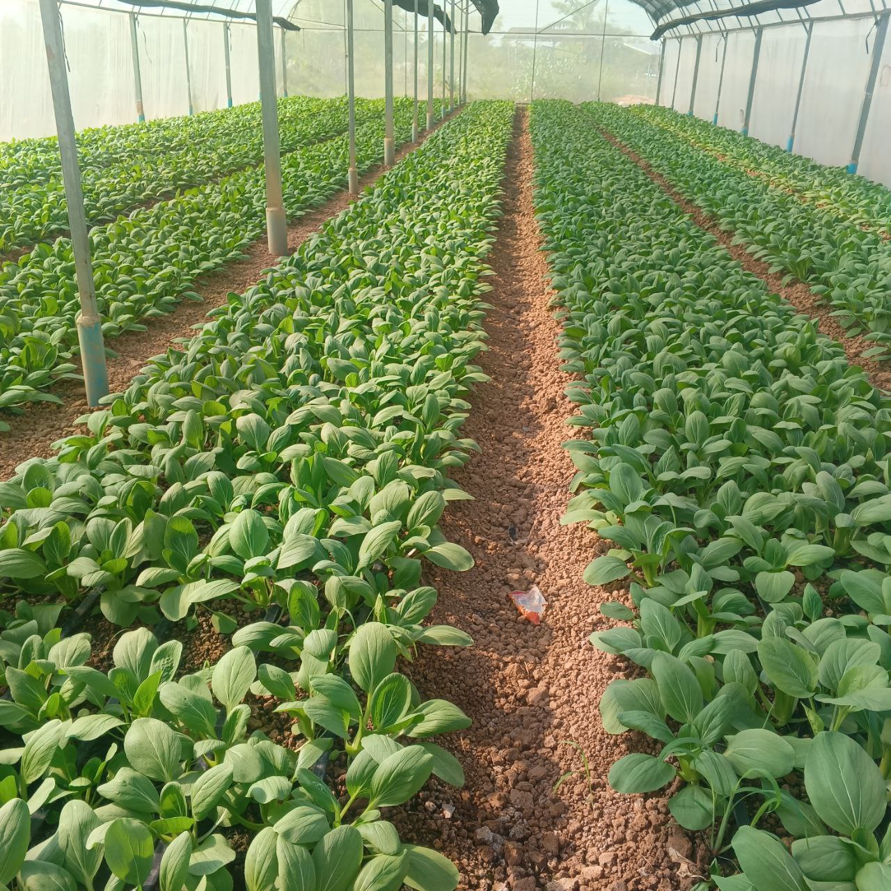 photo_2025-11-19_16-24-14