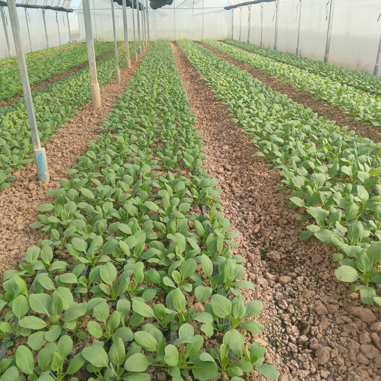 photo_2025-11-19_16-24-17