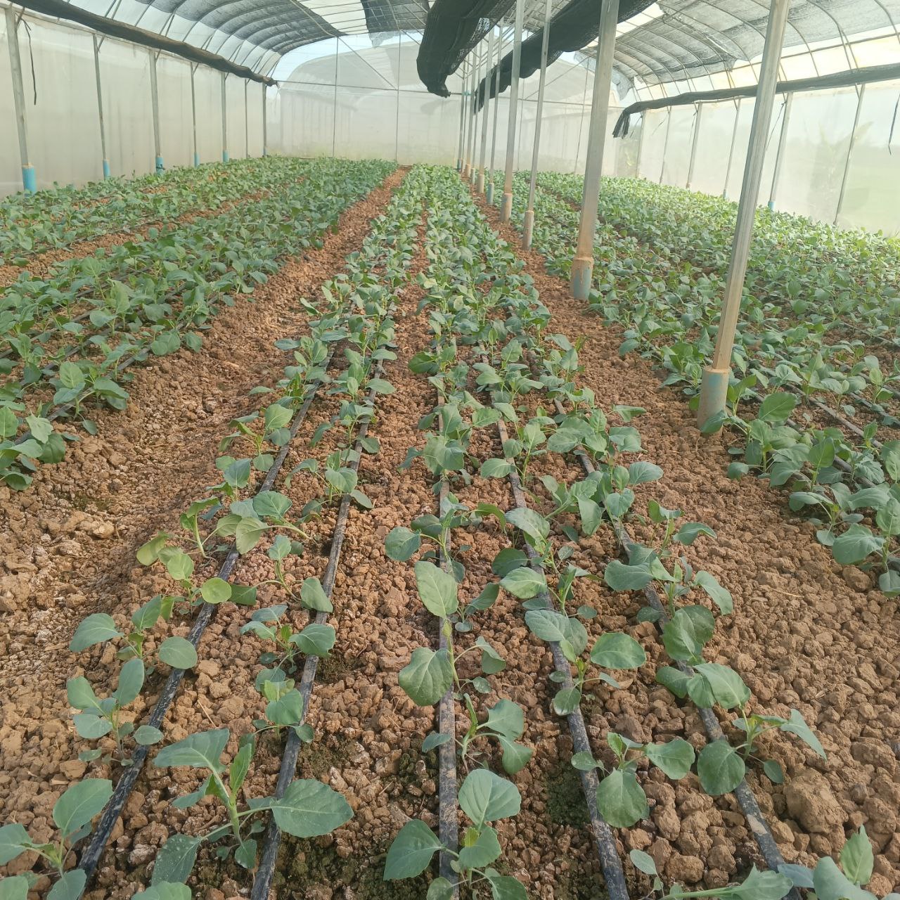 photo_2025-11-19_16-24-20