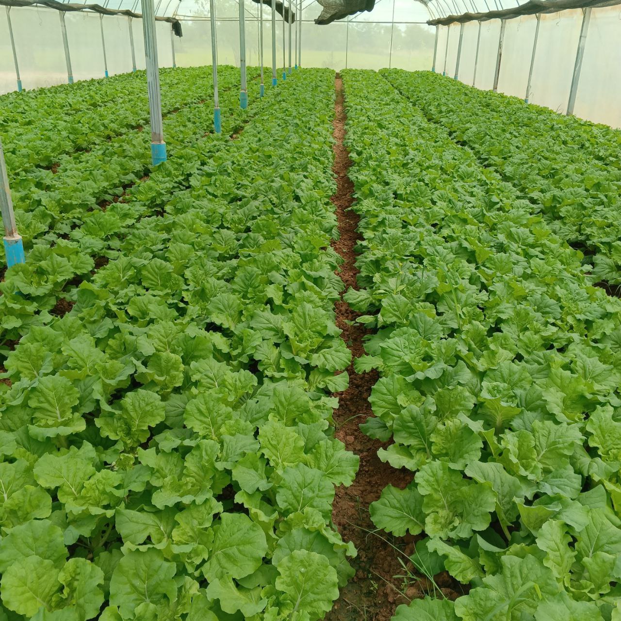 photo_2025-11-19_16-24-26