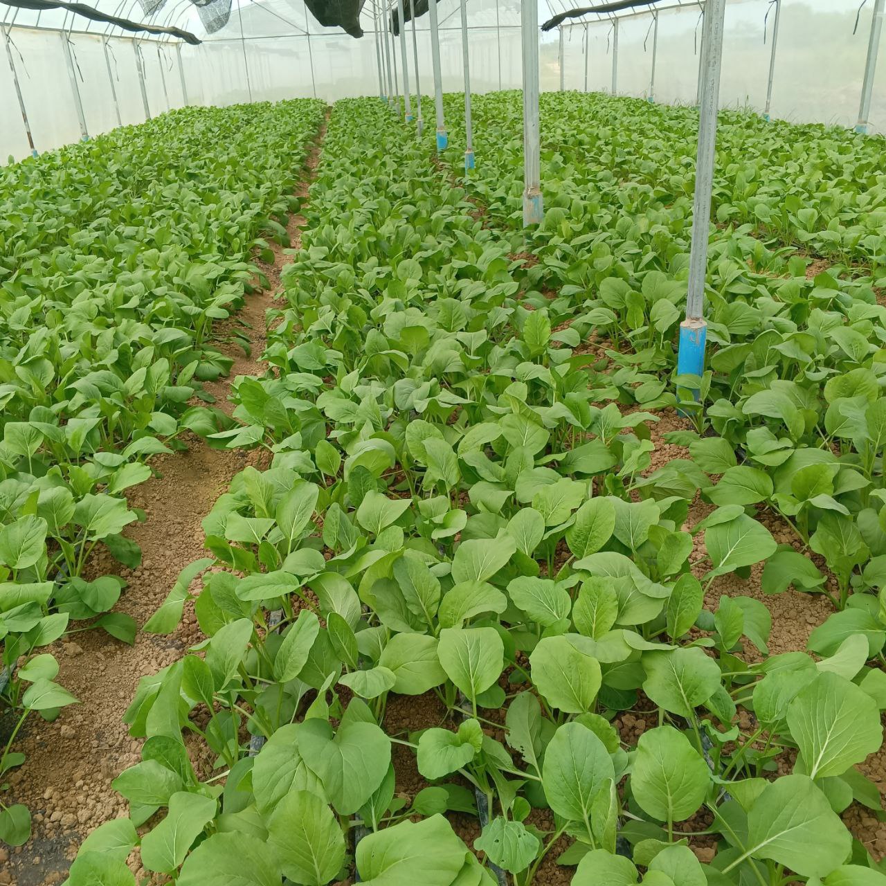 photo_2025-11-19_16-24-30