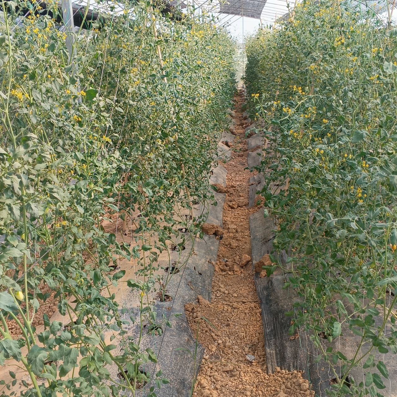 photo_2025-11-19_16-24-34