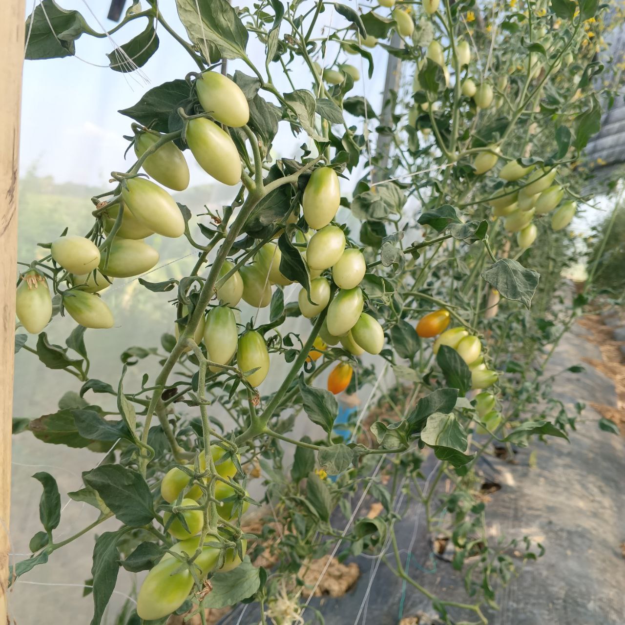 photo_2025-11-19_16-24-37