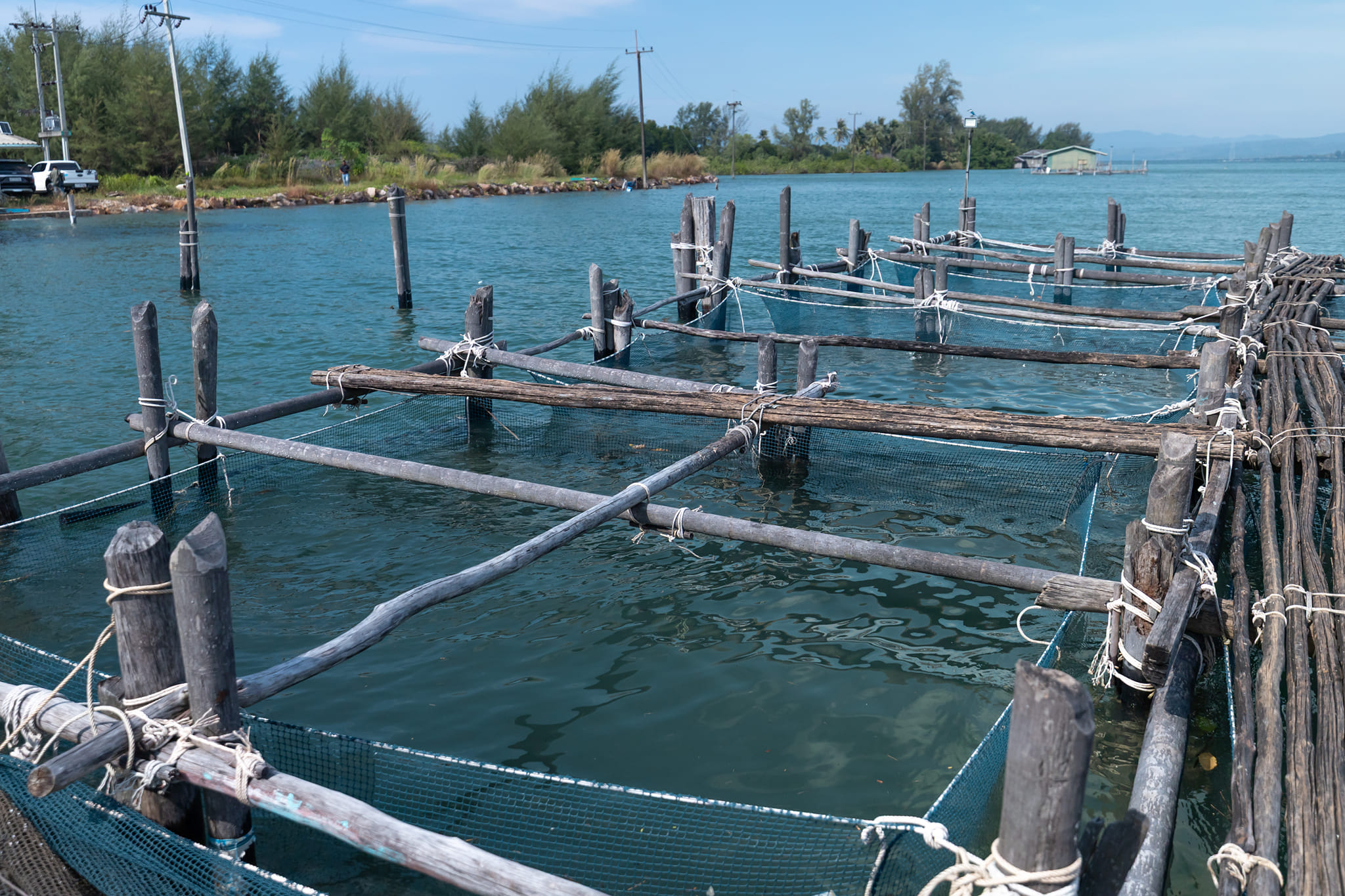 589522988_1296603539176598_7339619663375507439_n