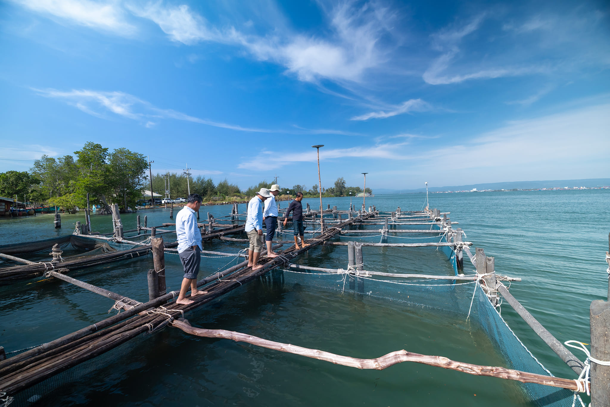 591461869_1296603499176602_3486616644007809305_n