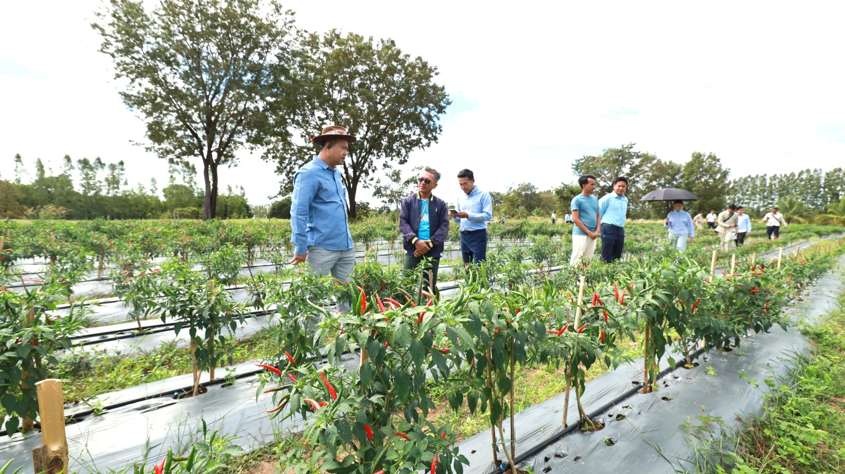 594554215_1302677855235833_7881324951453760860_n