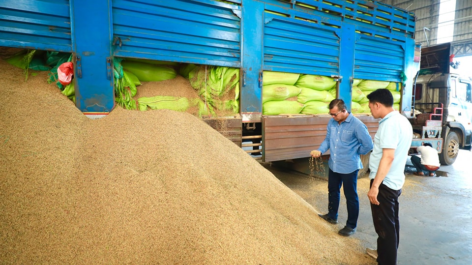 594775622_1303558801814405_1831875559623571773_n