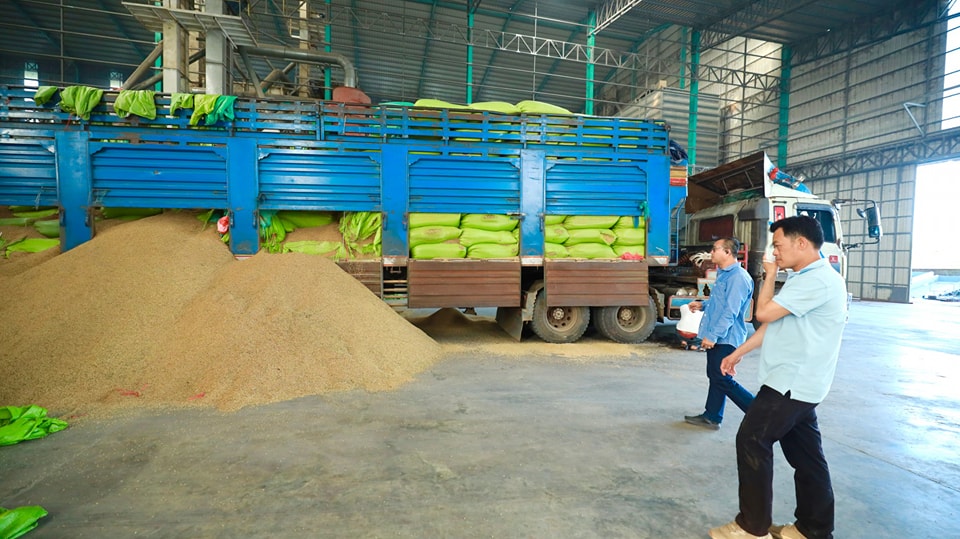 596394081_1303558645147754_1517227856736865661_n