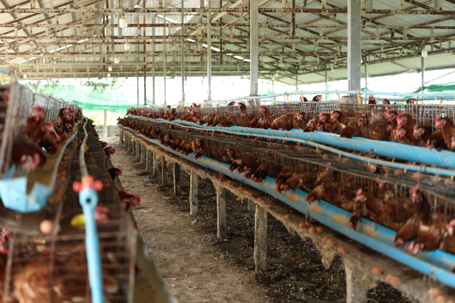 599933227_1309706591199626_2336429338119914191_n