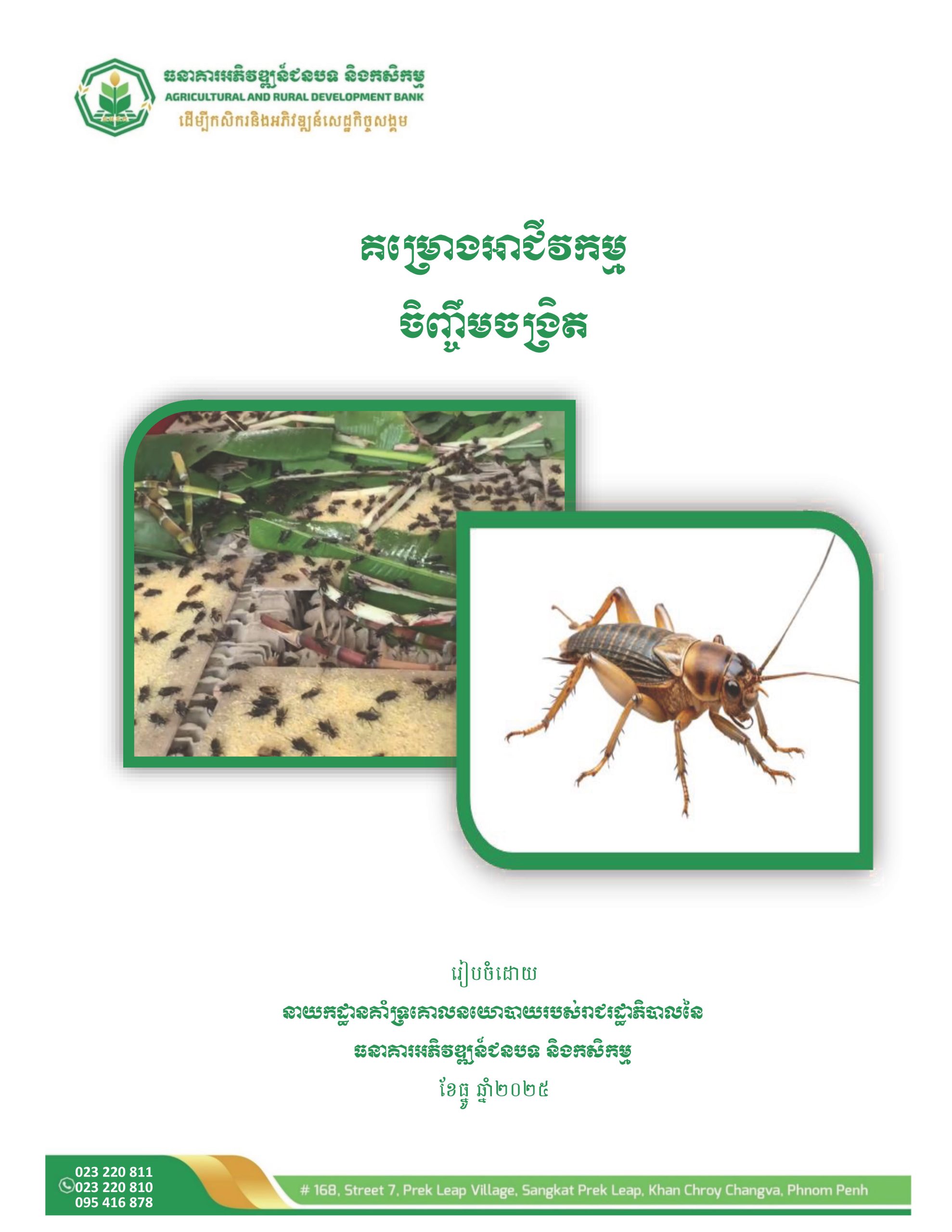 គម្រោងអាជីវកម្មចិញ្ចឹមចង្រិត