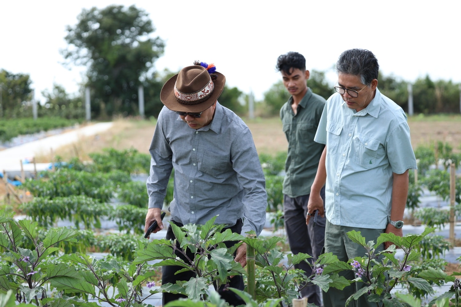 600046308_1309705981199687_9068481548248372177_n