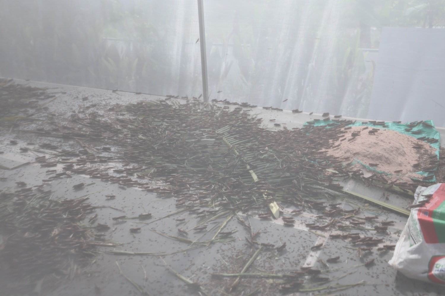 600141987_1309706674532951_434601409102925141_n