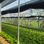 601483518_1313442144159404_7923528447820426354_n