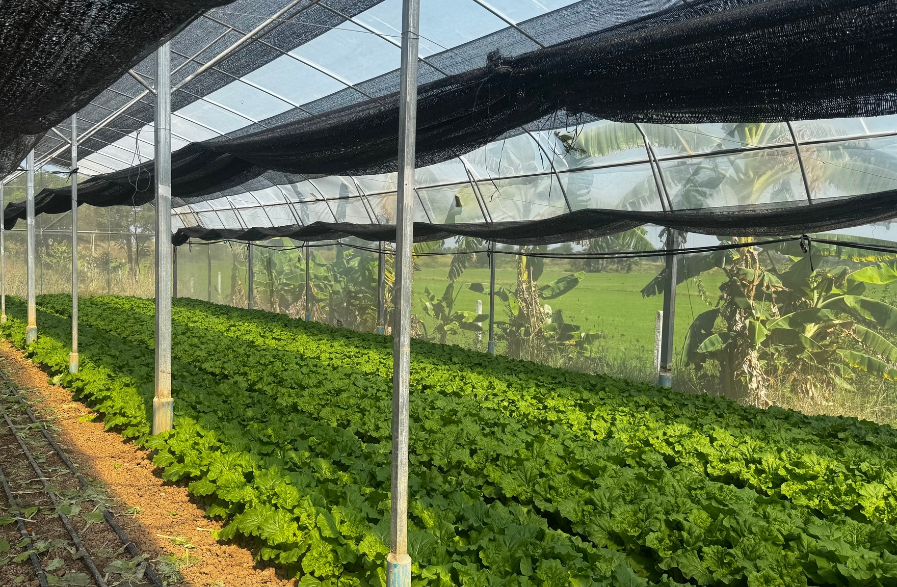 601483518_1313442144159404_7923528447820426354_n