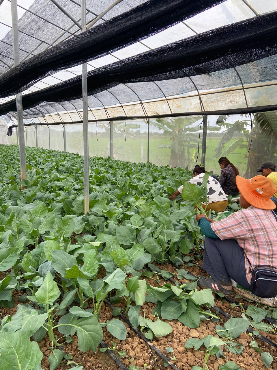 602320650_1313431760827109_3945189383399450882_n