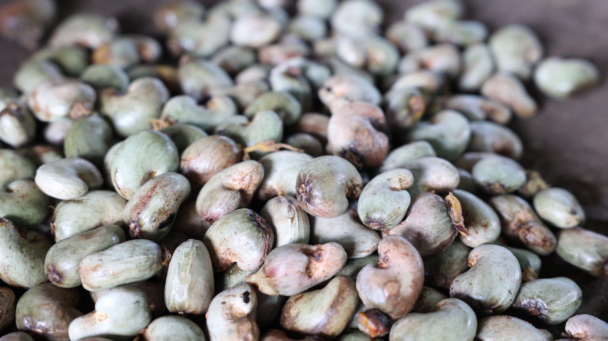 639694290_1370372495133035_3087557666283582778_n