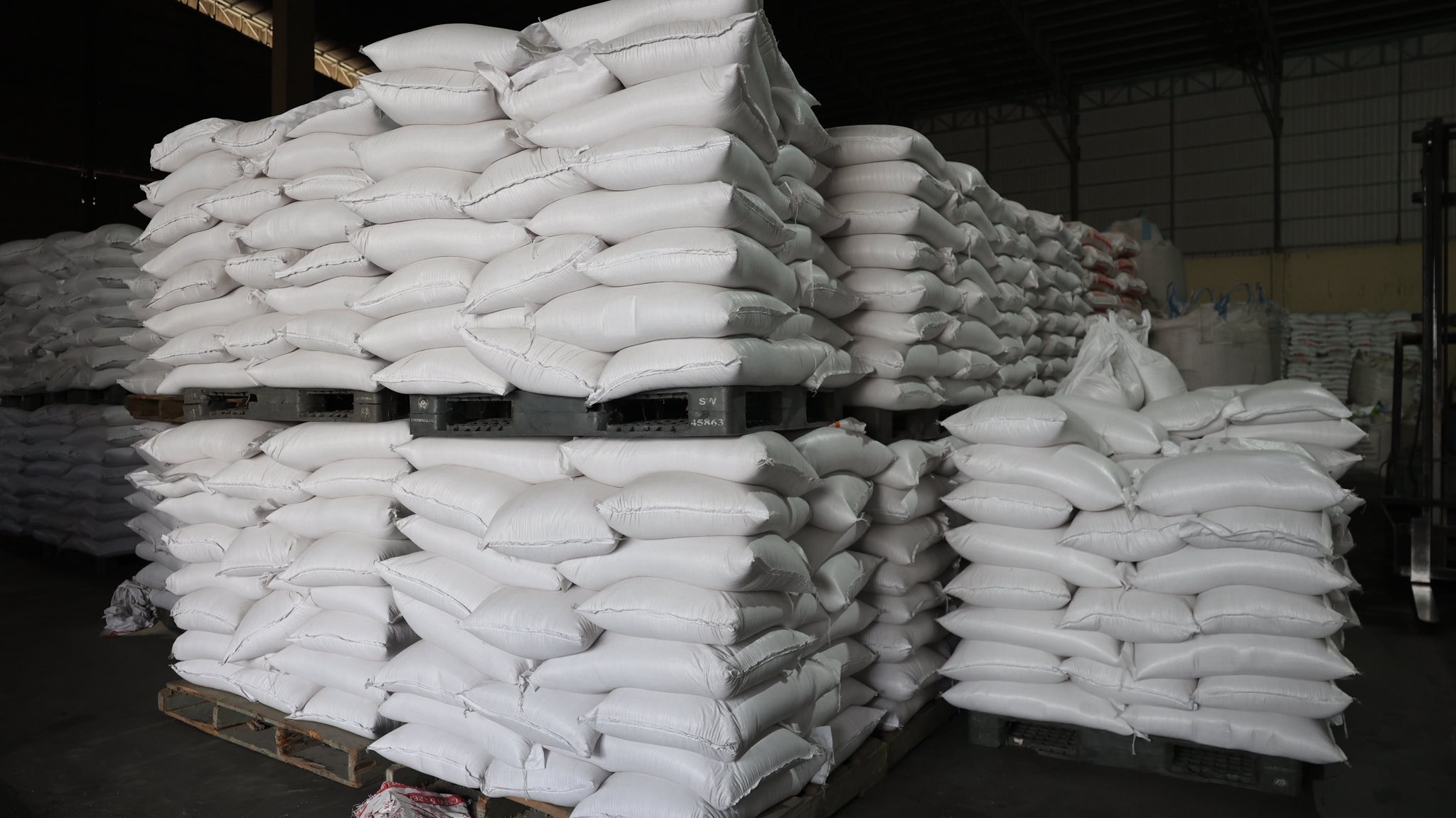 640162499_1369053471931604_386116544458284200_n