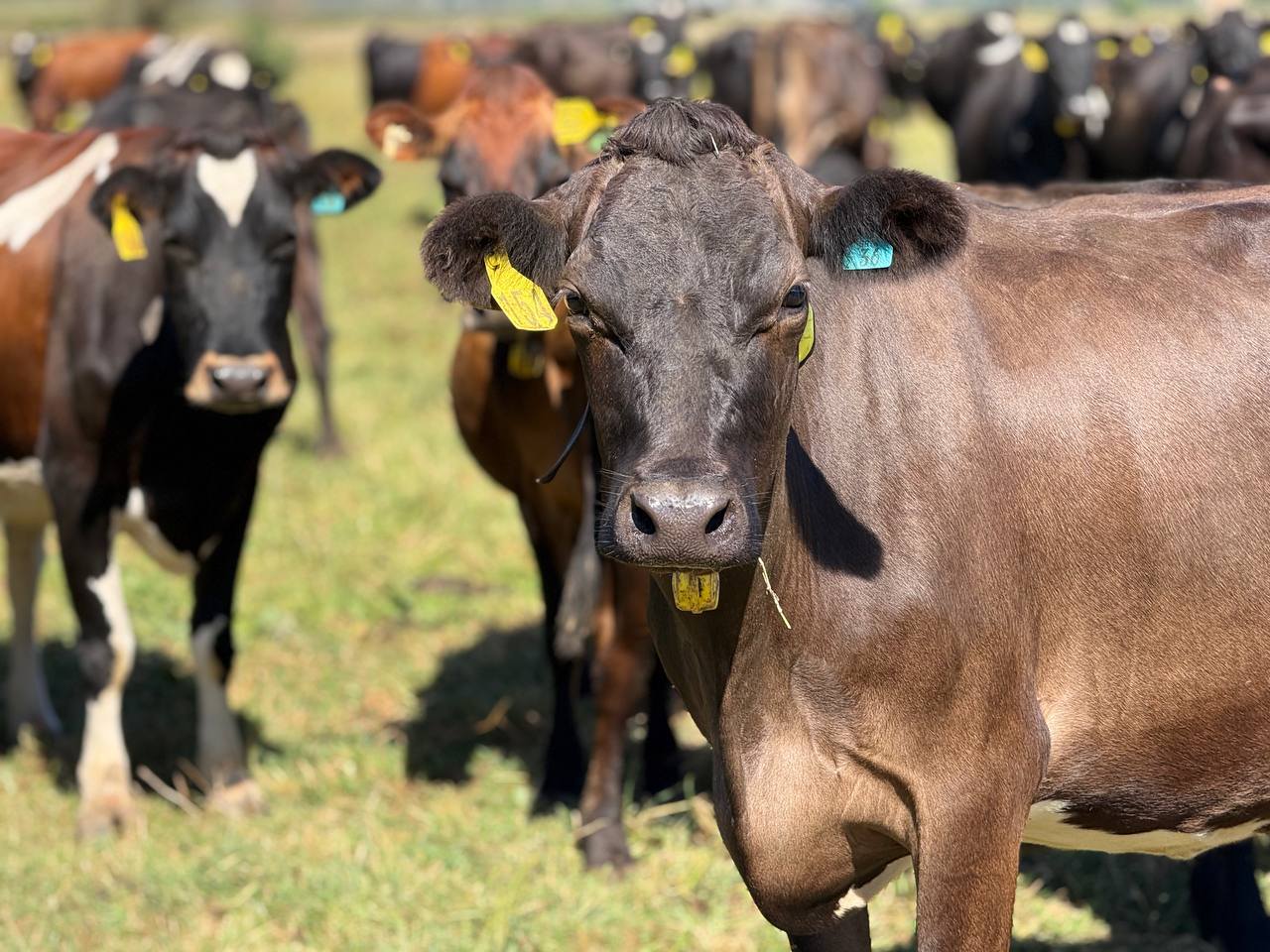 653345379_1386949150142036_3437593702659975243_n