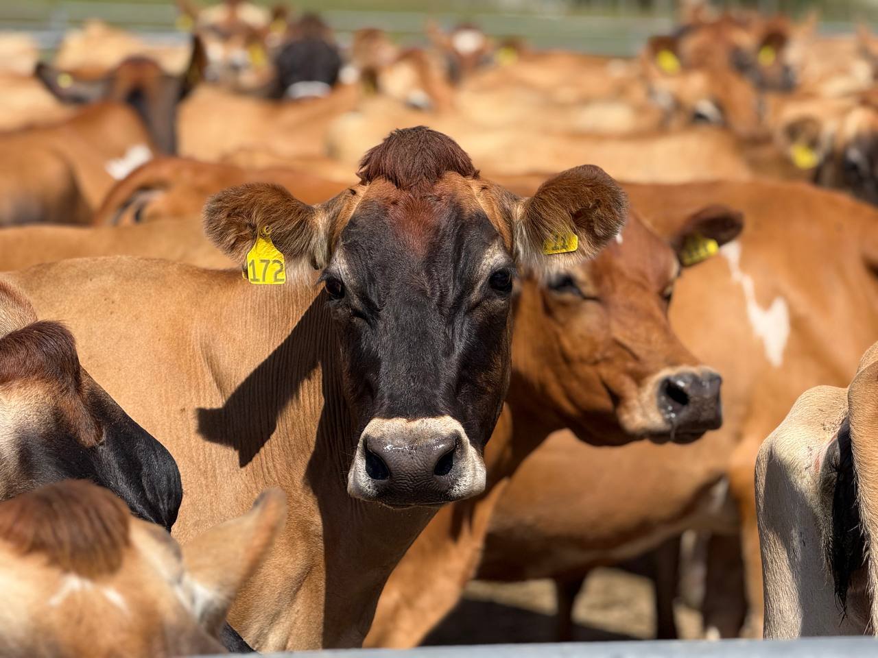 653399646_1386949576808660_1064776860144863897_n