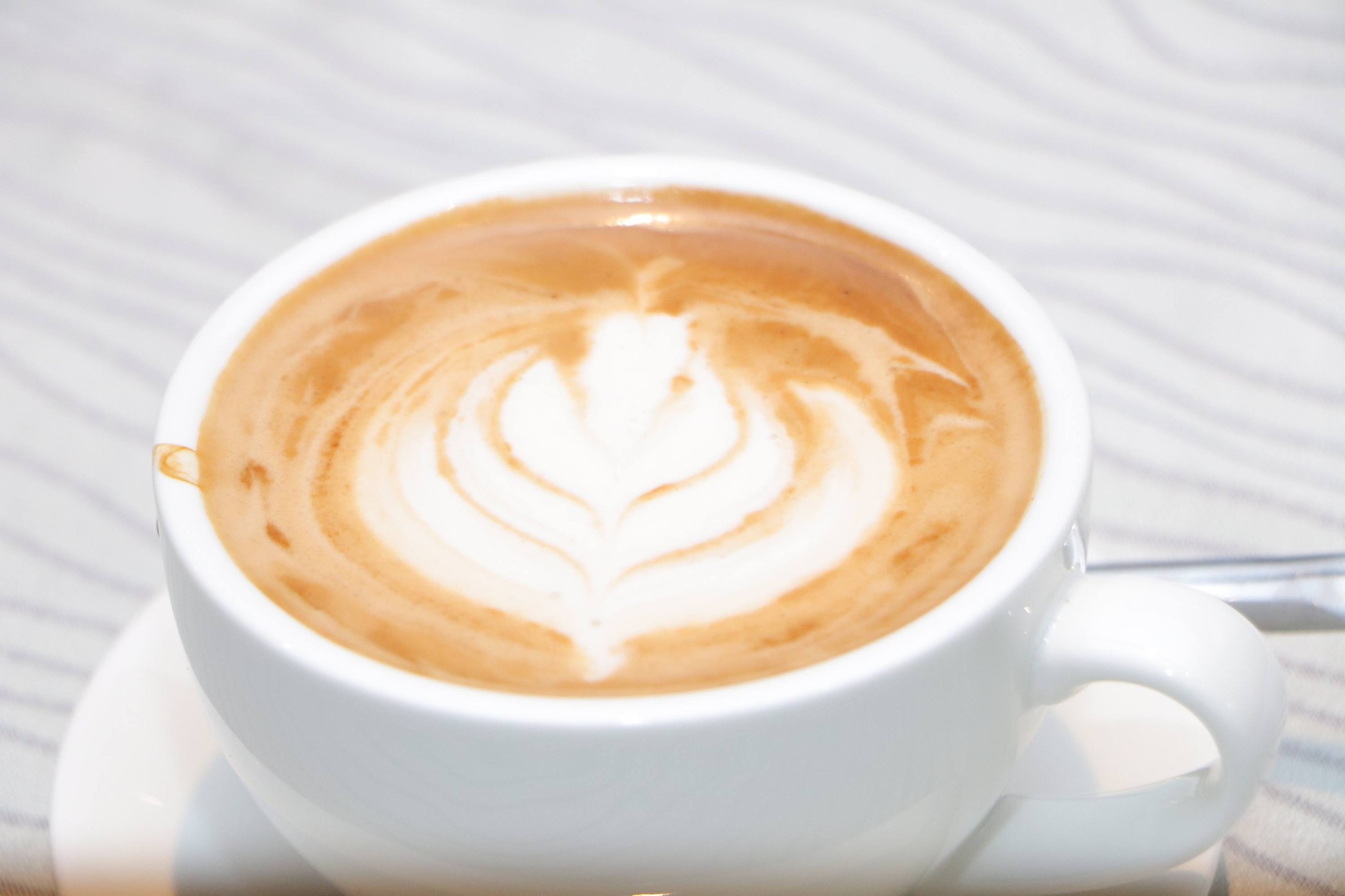 653786846_1387897446713873_898712526287087047_n