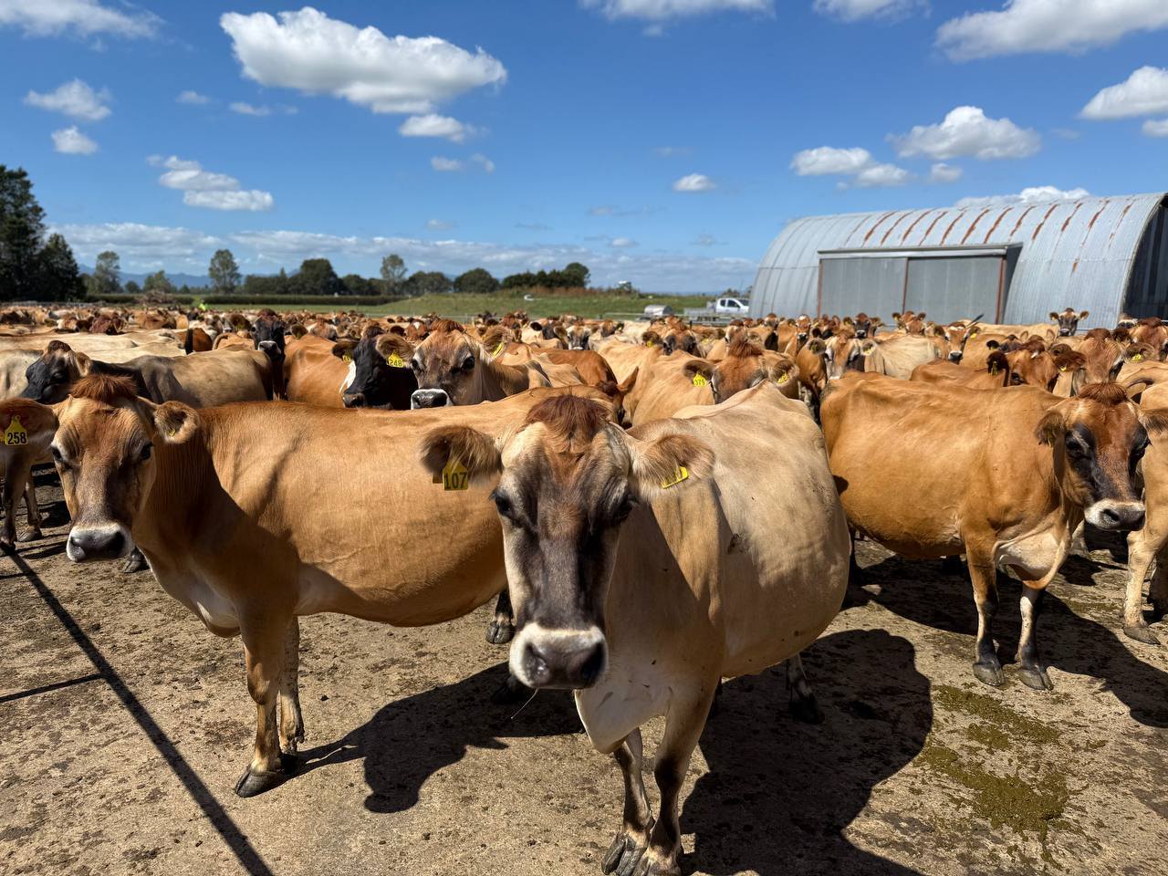 653790137_1386949400142011_2307439405485661198_n