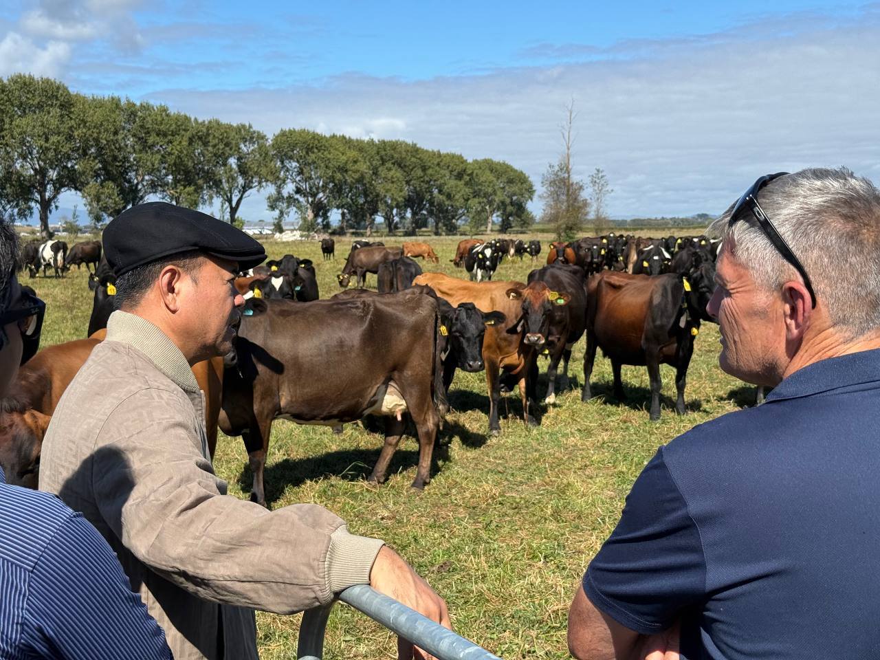 653796438_1386949276808690_4923345404601061282_n