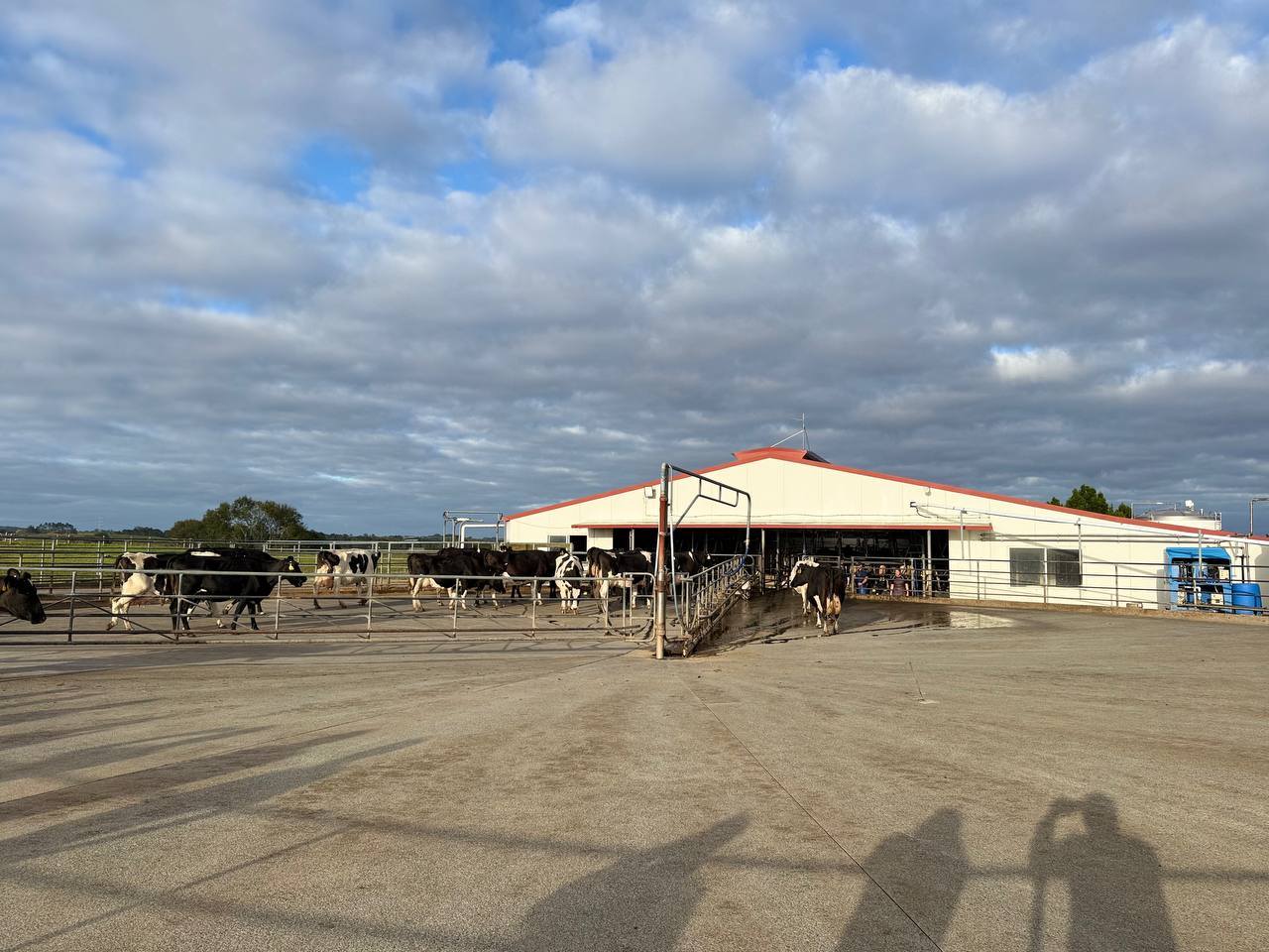 654173042_1386948973475387_3586489757242874464_n