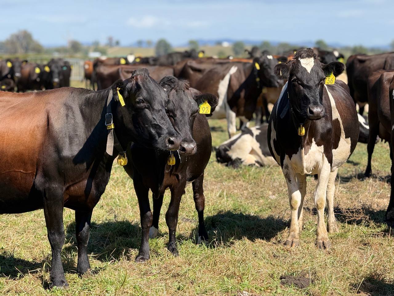 654234197_1386949236808694_4874776945865371933_n