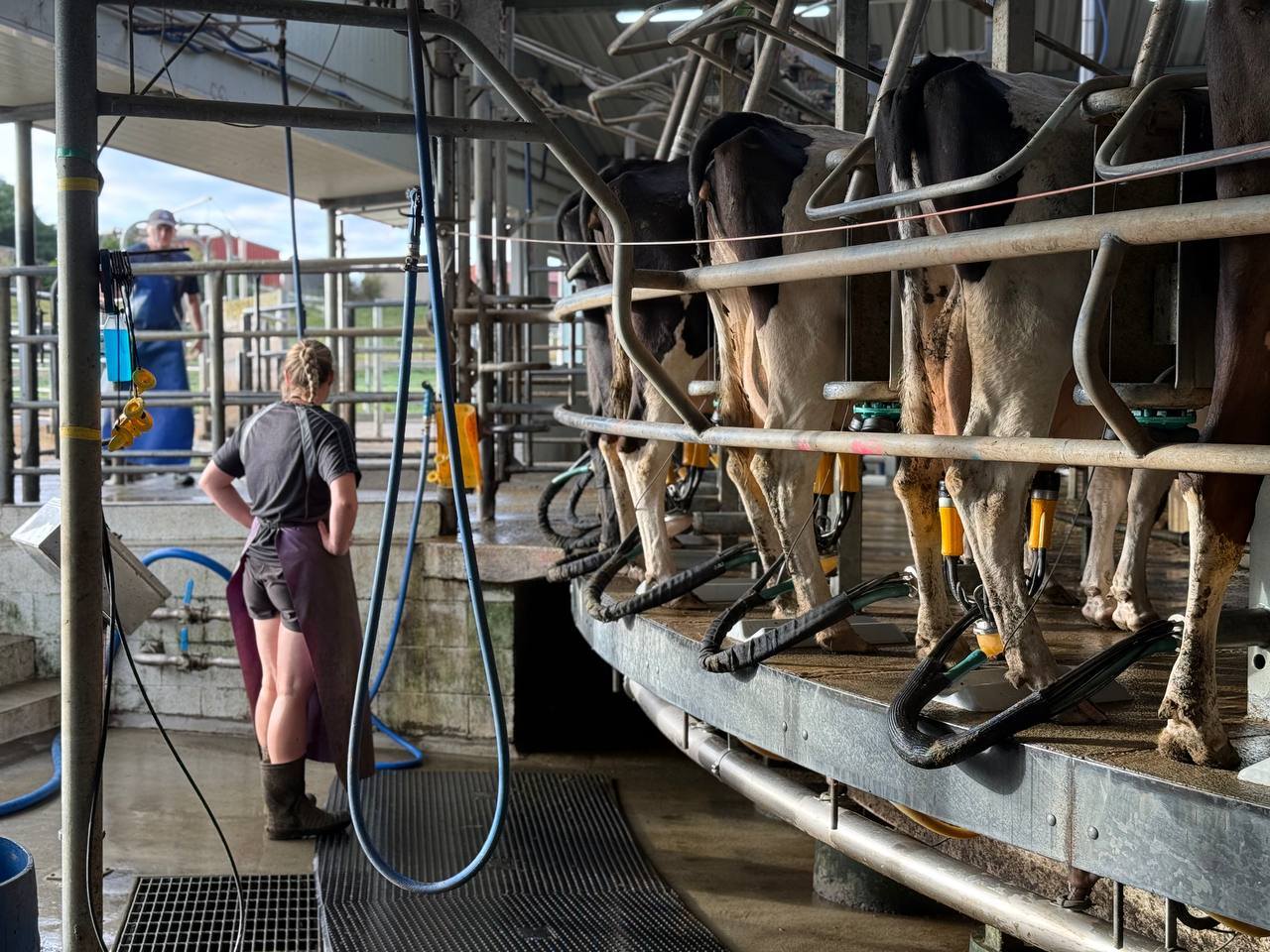 654343994_1386949010142050_5097652930815167305_n