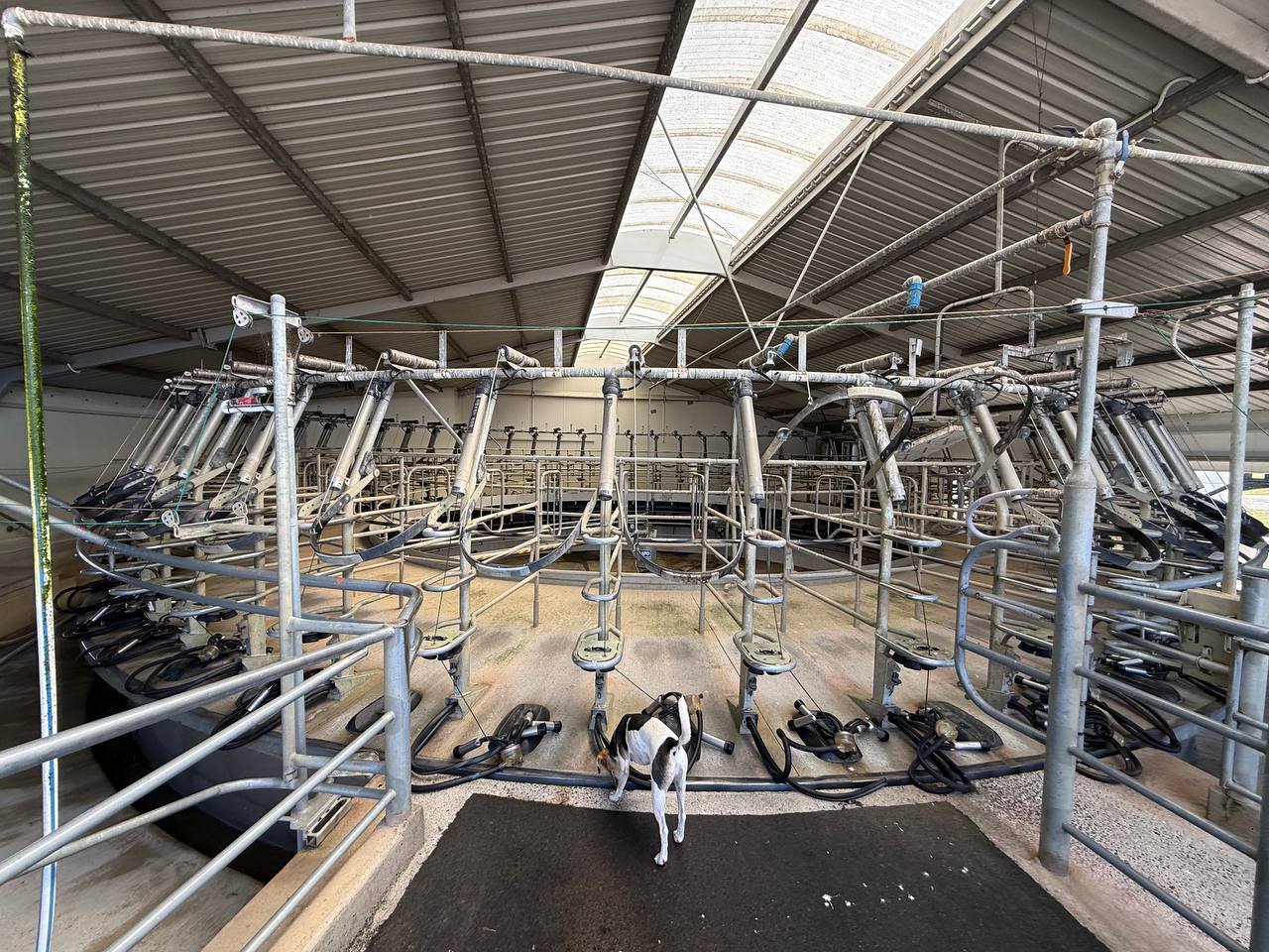 654482648_1386949543475330_1080050262842960845_n