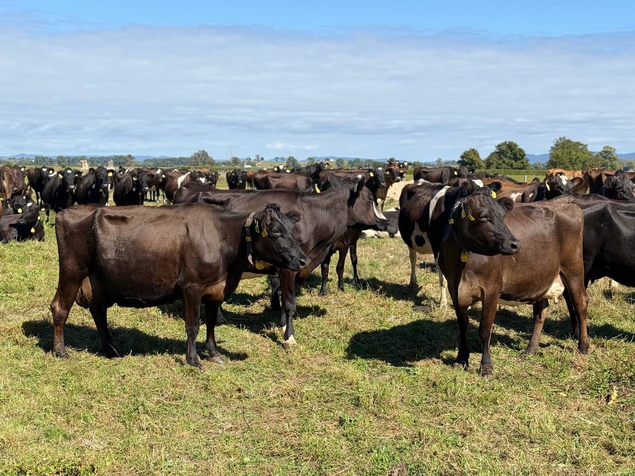 654865754_1386949100142041_8842244741738737698_n