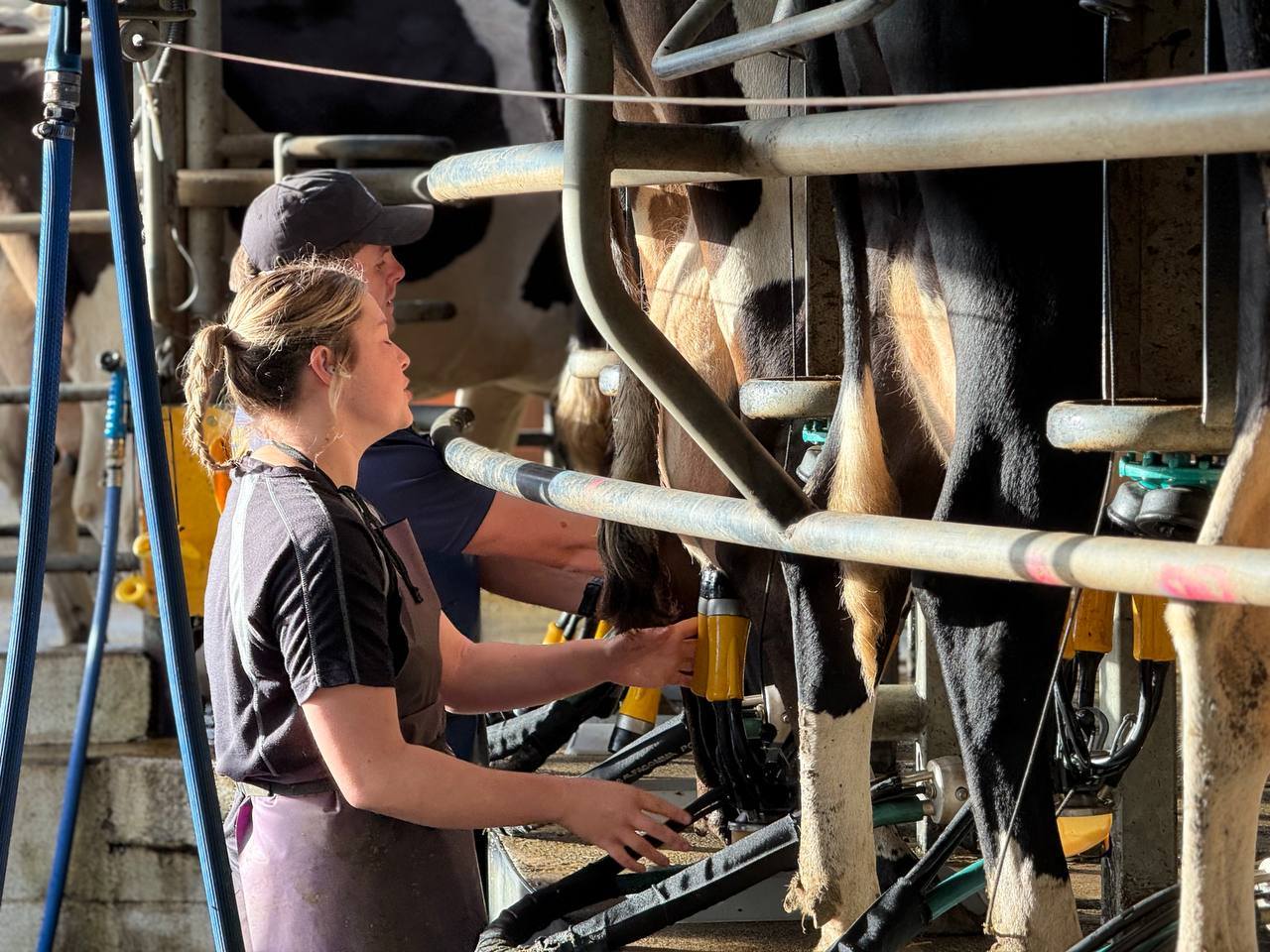 654923404_1386948360142115_4461726975536712936_n