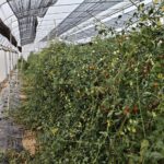 photo_2026-03-06_14-47-10