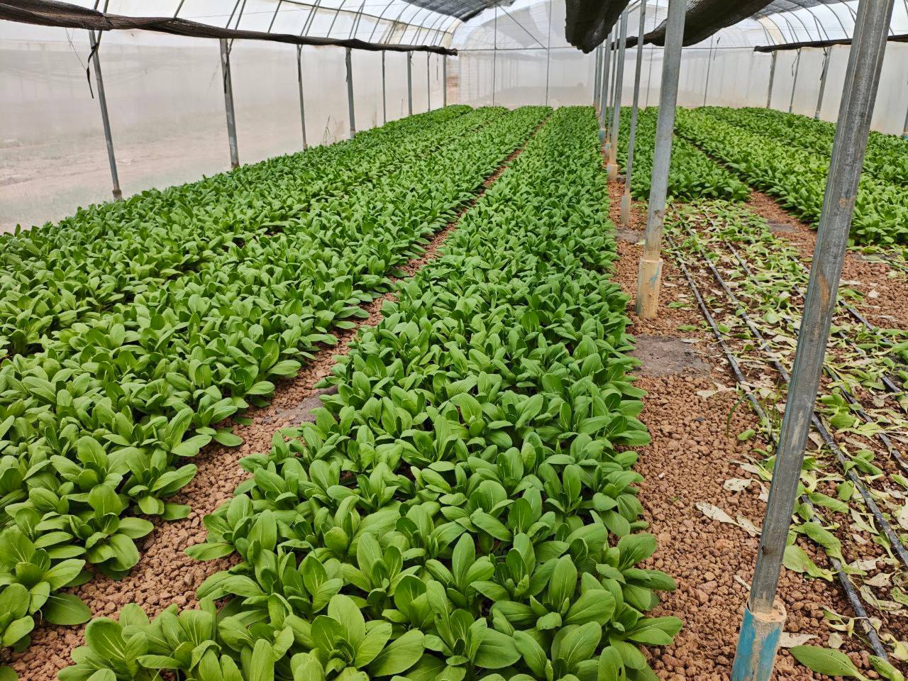 662592947_1404575515046066_8030620499868928022_n