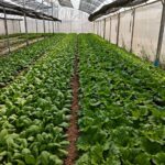 665990503_1404575578379393_1810652564722147107_n