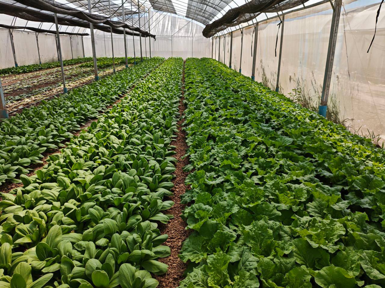 665990503_1404575578379393_1810652564722147107_n