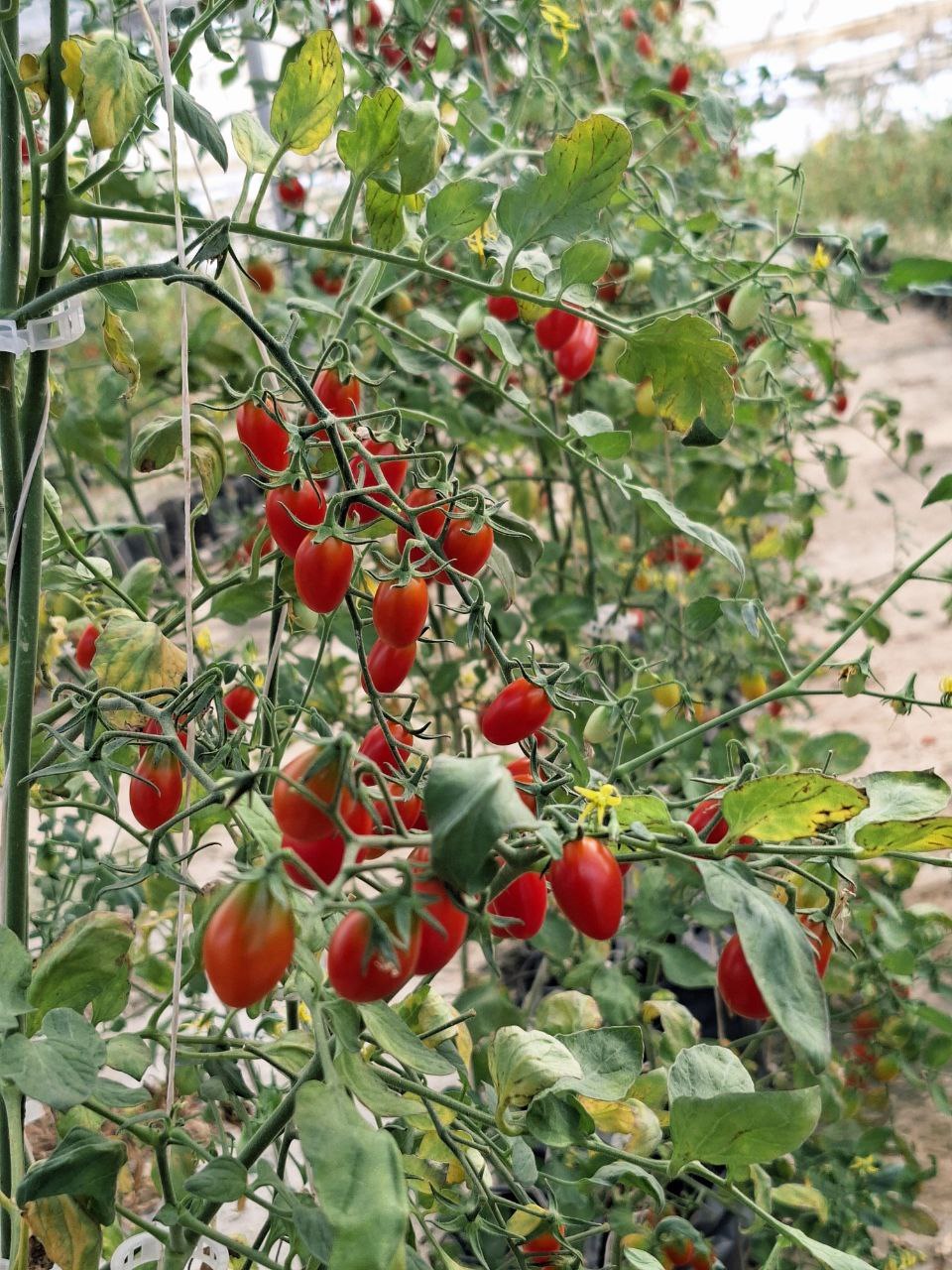 668199314_1404575611712723_4362487977601921606_n