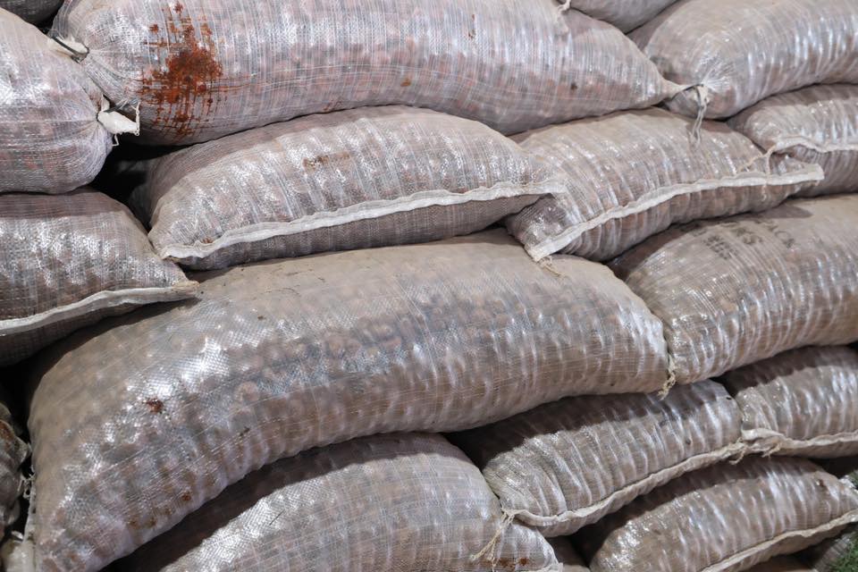 702470401_1441707297999554_5487369393507537534_n