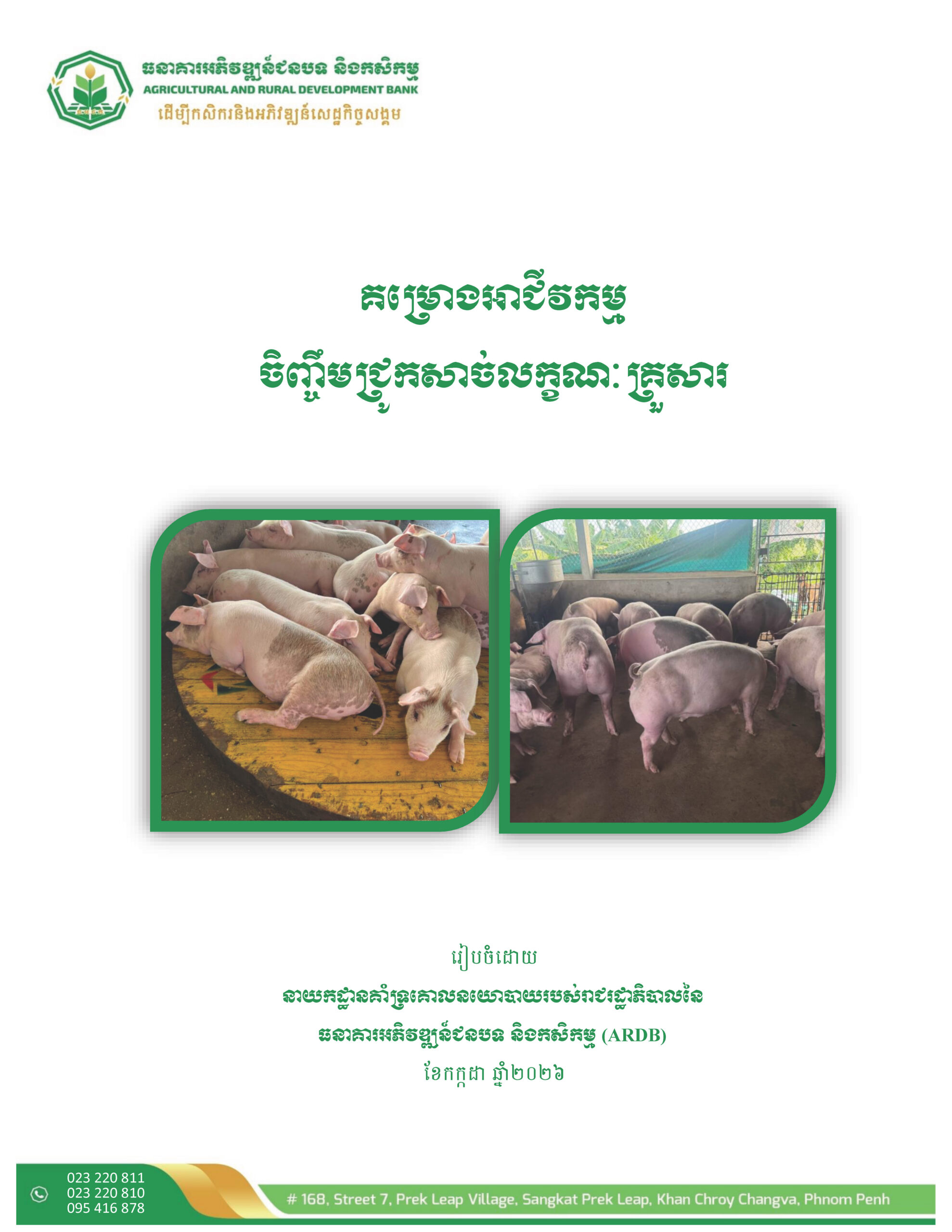 Pig Fattening Business Project